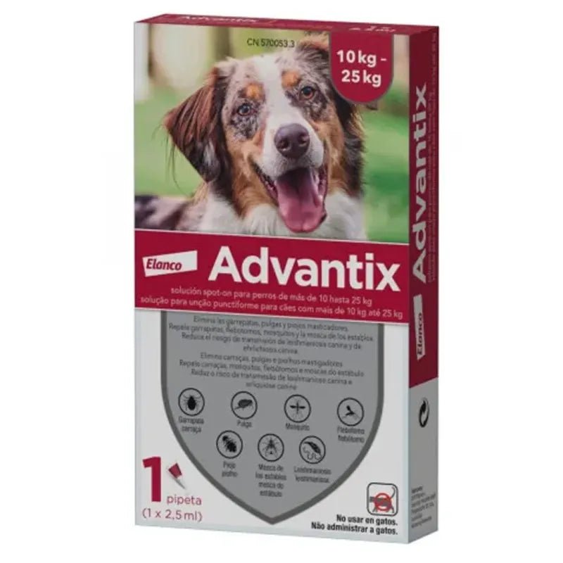 Product image for 21198