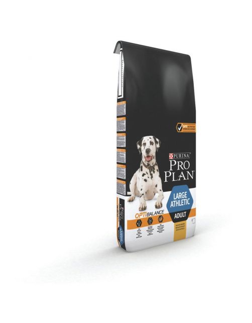 Product image for 21281