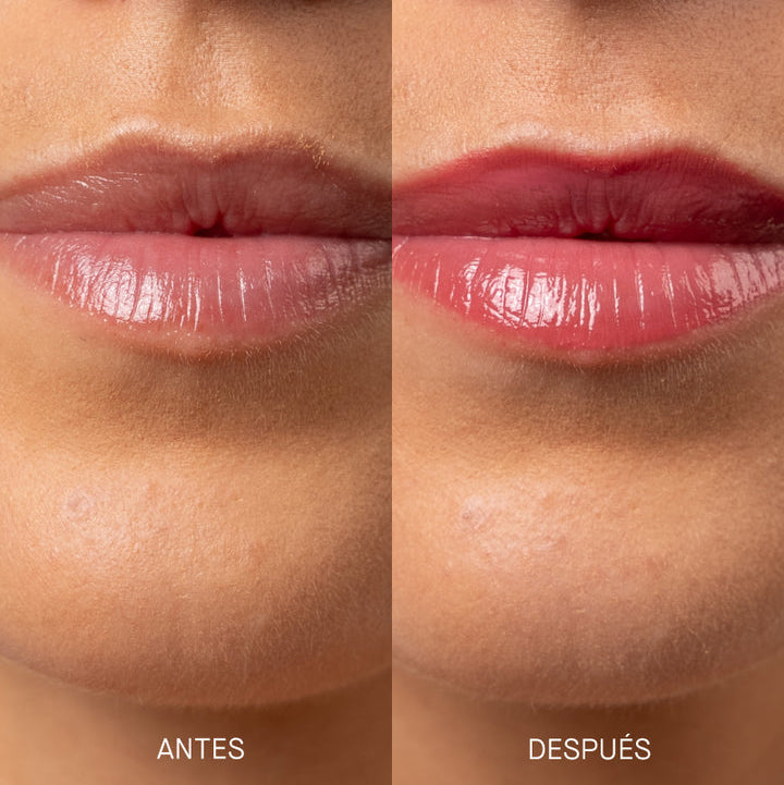 Transparent Lab Tinted Lipgloss Spf - Rose 15ml