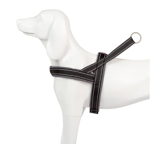 Product image for 11889