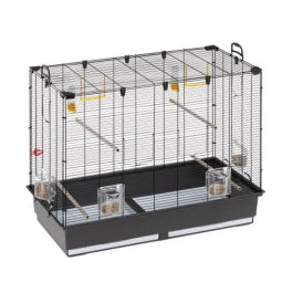 Product image for 15613