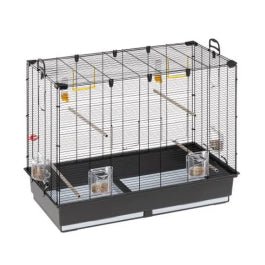 Product image for 15613