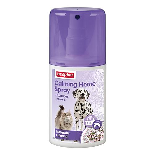Product image for 10056