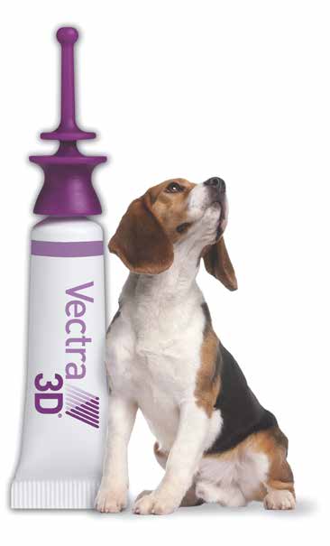 Product image for 21170