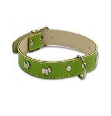 Product image for 17097