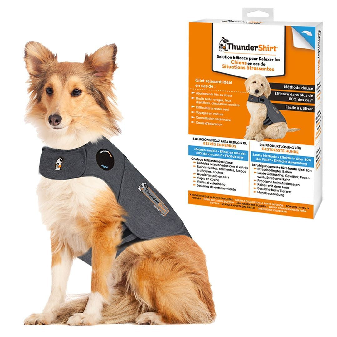 Product image for 16892