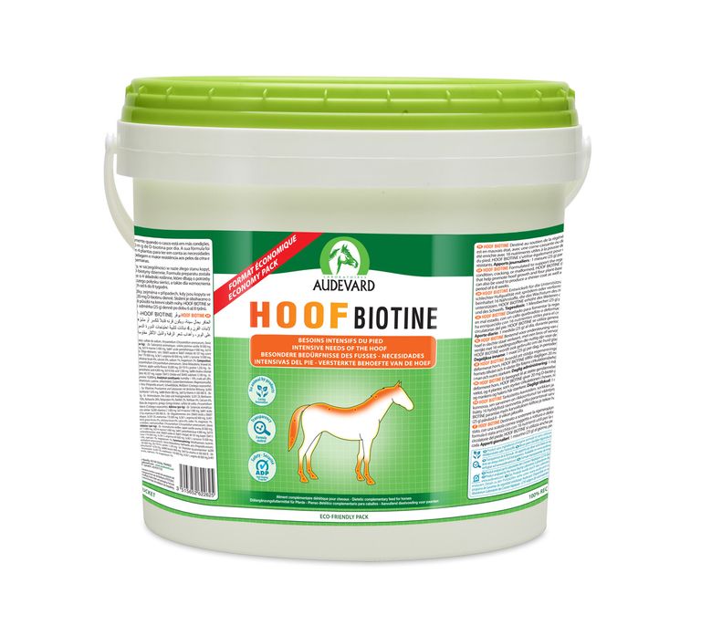 Product image for 13645