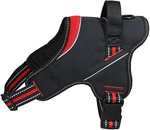 Product image for 11886
