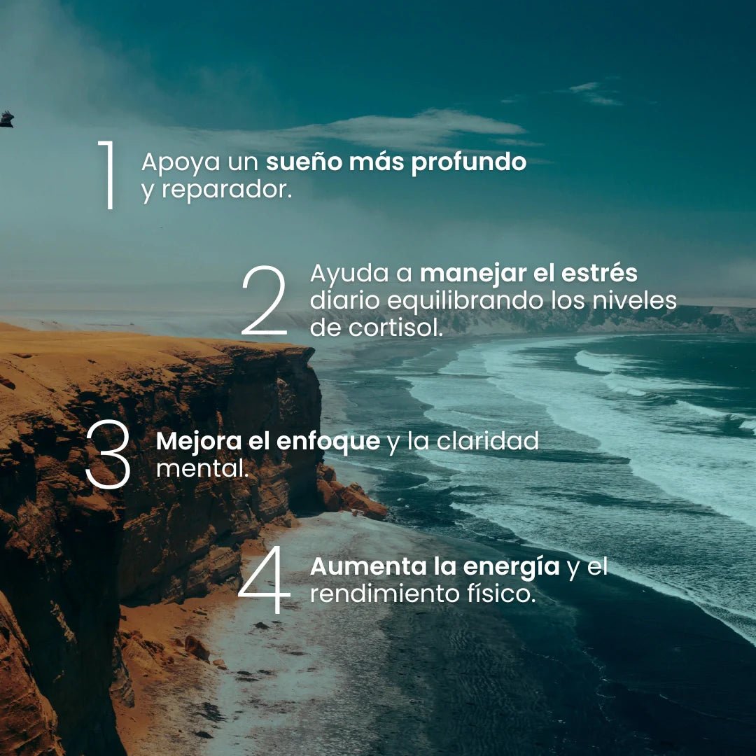 GudSlip Relax Ashwagandha 60 Kapseln