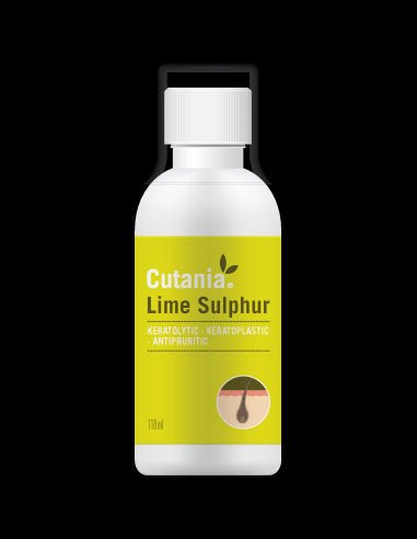 Product image for 11011