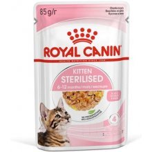 Product image for 16822