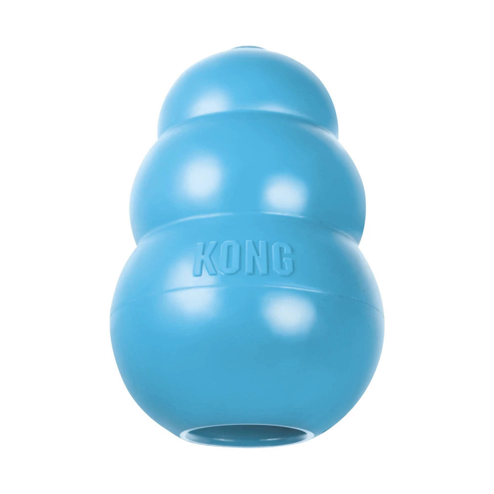 Product image for 16577