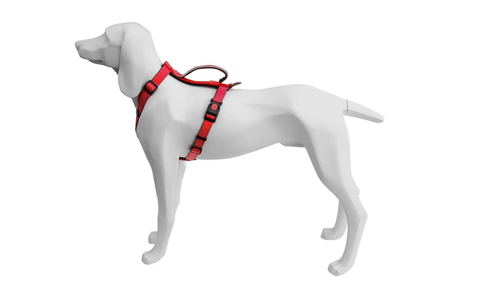 Product image for 16193