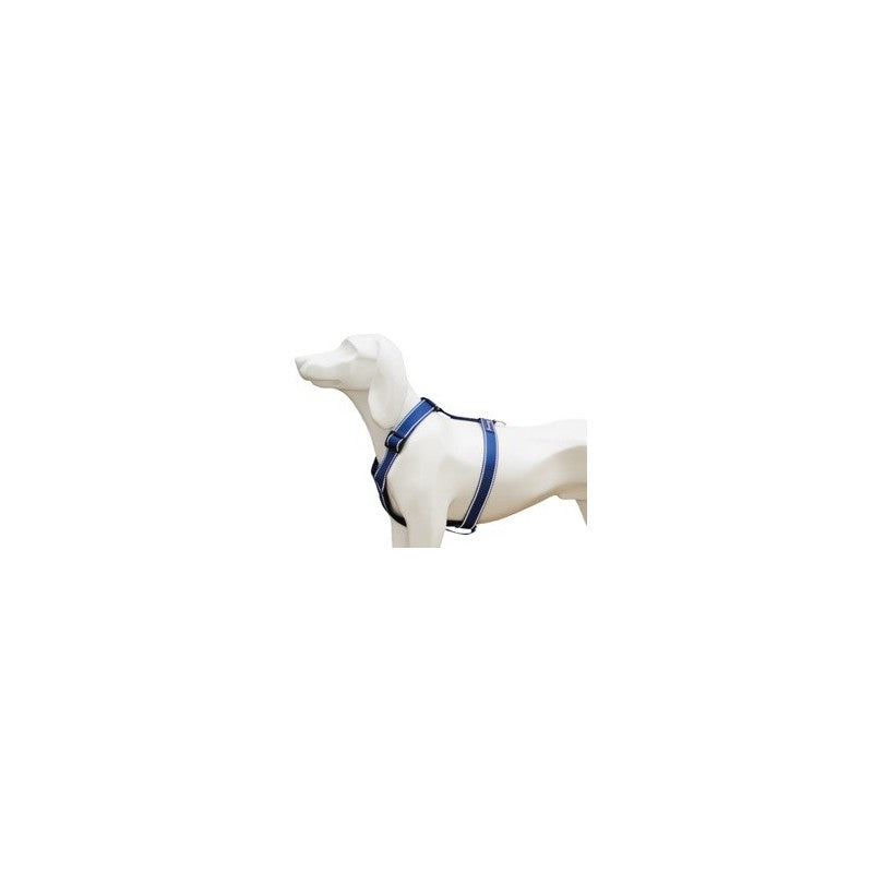 Product image for 16372