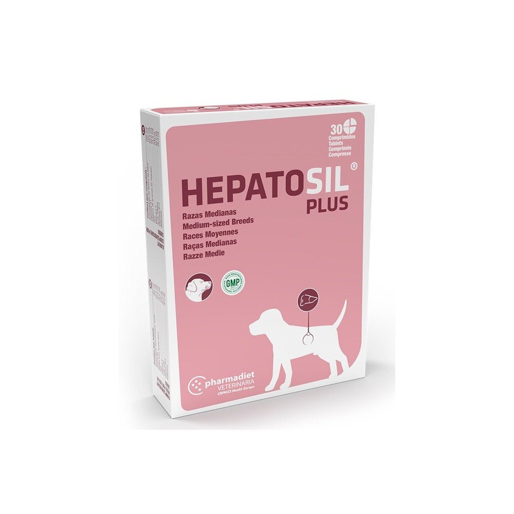 Product image for 8243