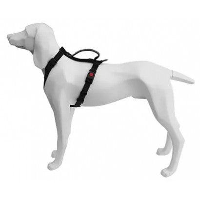 Product image for 17936