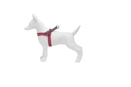 Product image for 11899