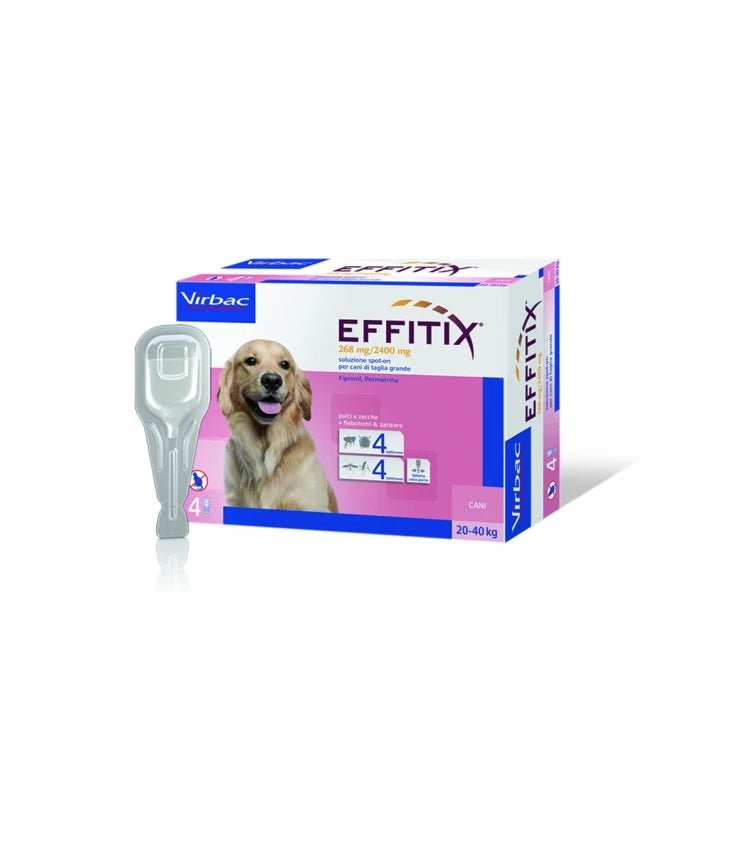Product image for 19616