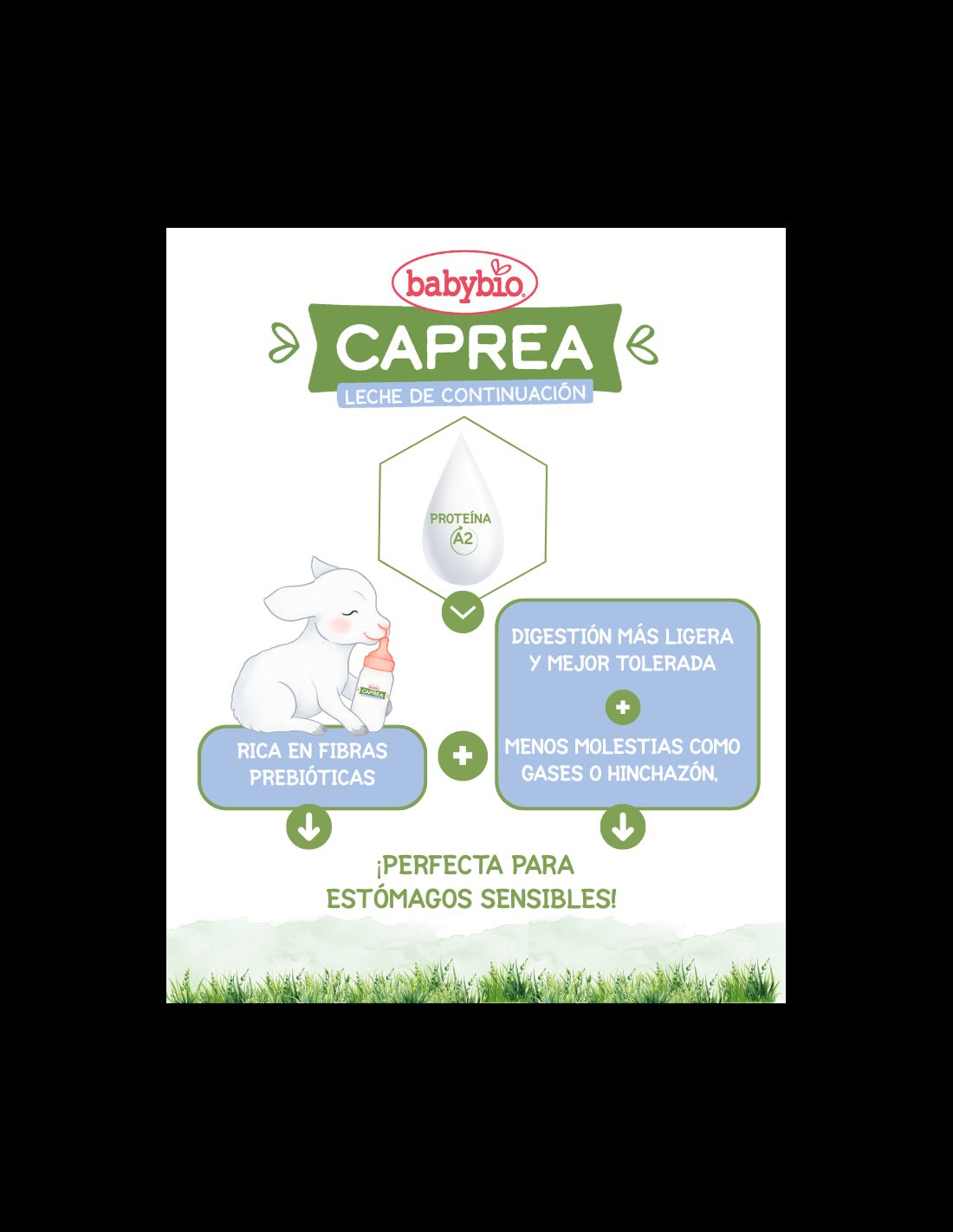 BABYBIO Caprea 1 Latte di Capra per l'Infanzia BIO 0-6m DUPLO 2x800g