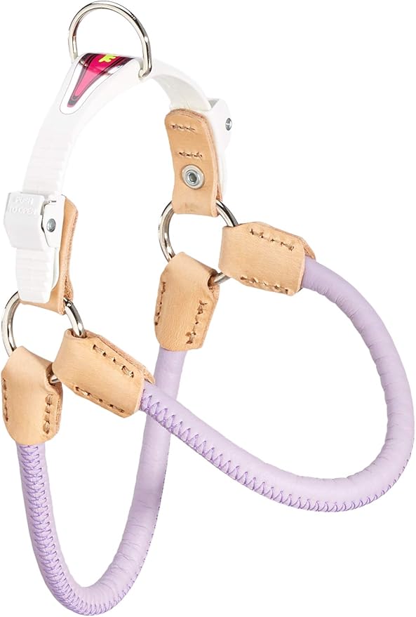 Product image for 15704