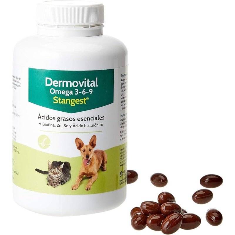 Product image for 16881