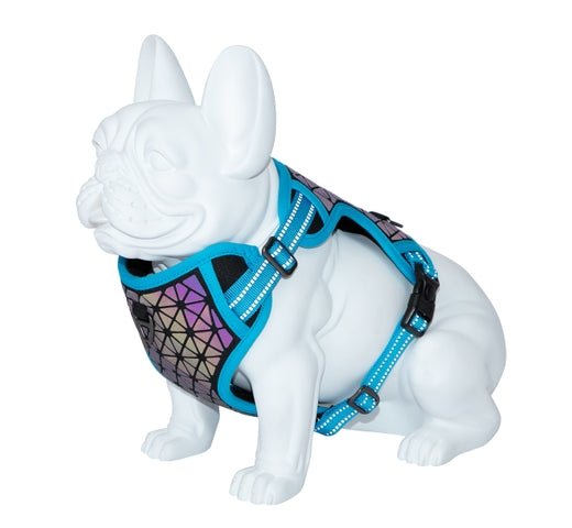 Product image for 16210