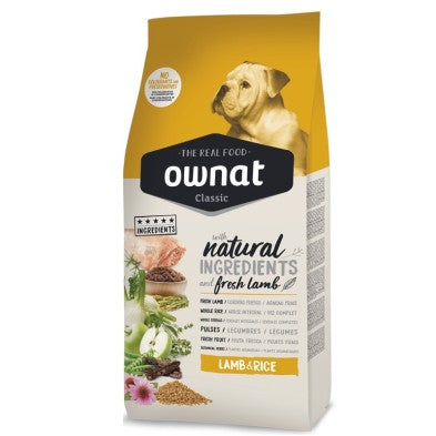 Product image for 10171