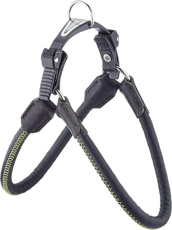 Product image for 15705