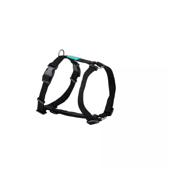 Product image for 15970