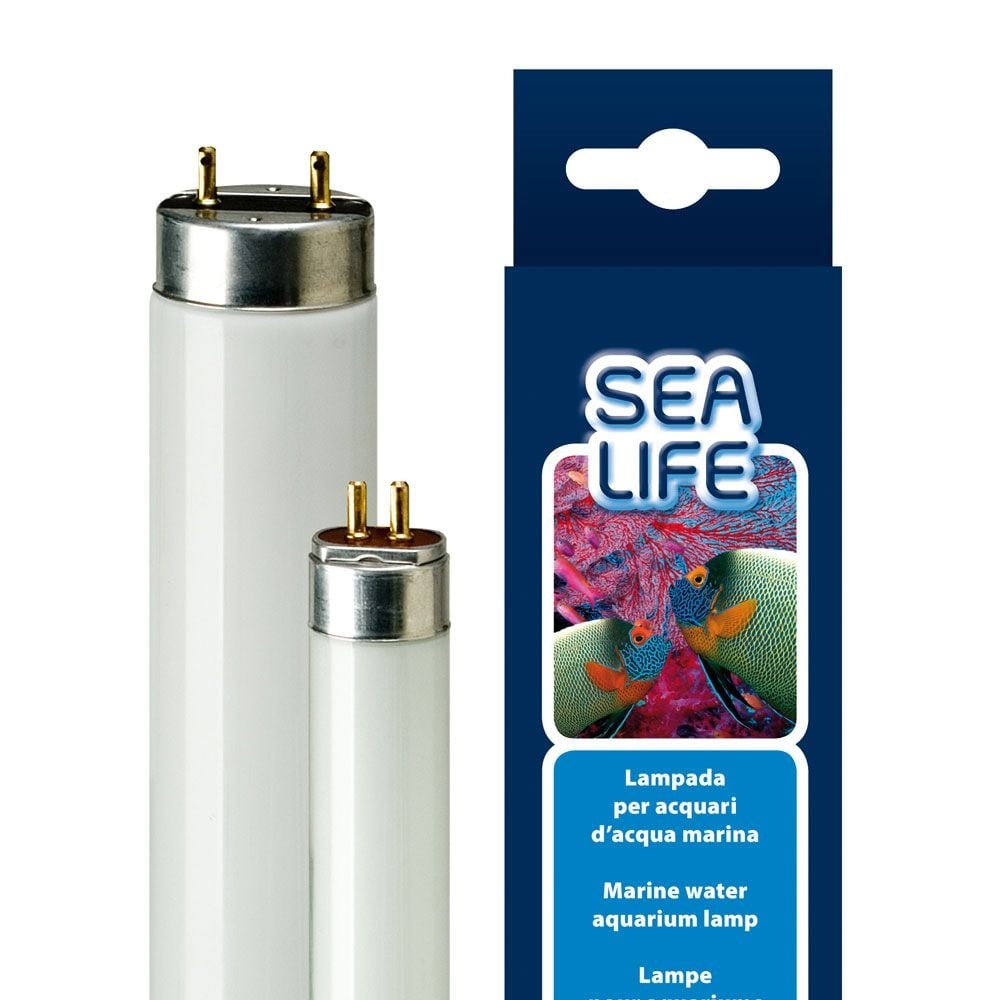Product image for 14432
