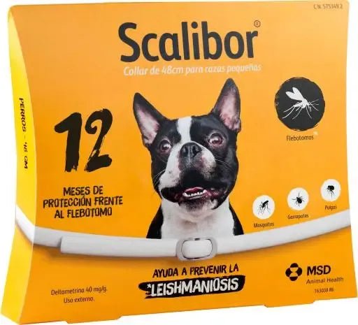 Product image for 19369