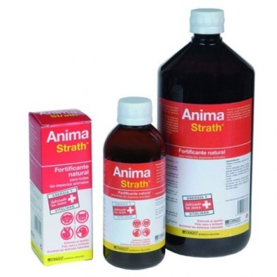 Product image for 10402