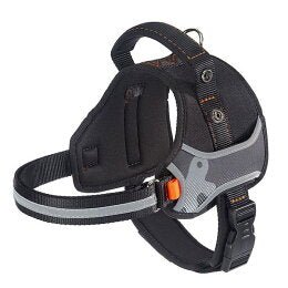 Product image for 15332