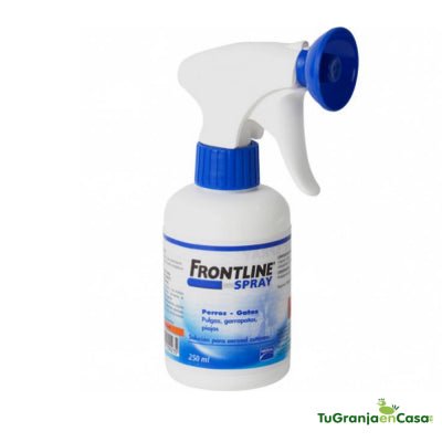 Product image for 19346