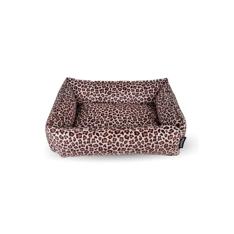 Product image for 11364