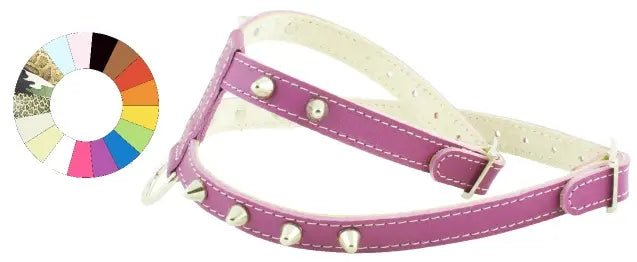 Product image for 17946