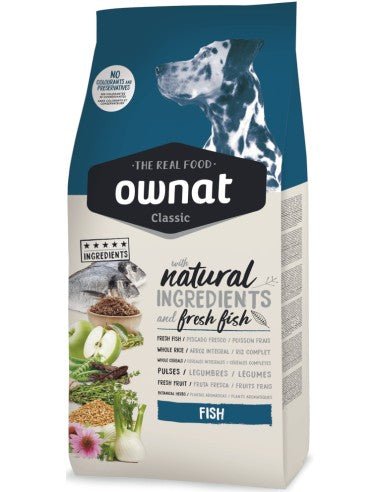 Product image for 10764