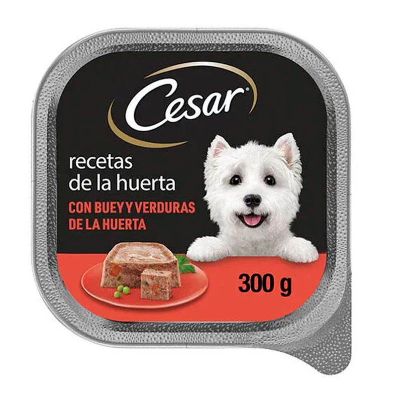 Product image for 13785