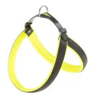 Product image for 11999