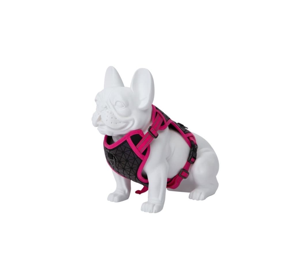 Product image for 16349