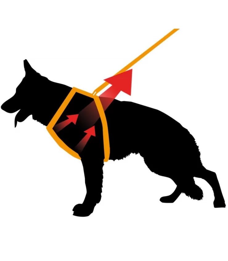 Product image for 15714