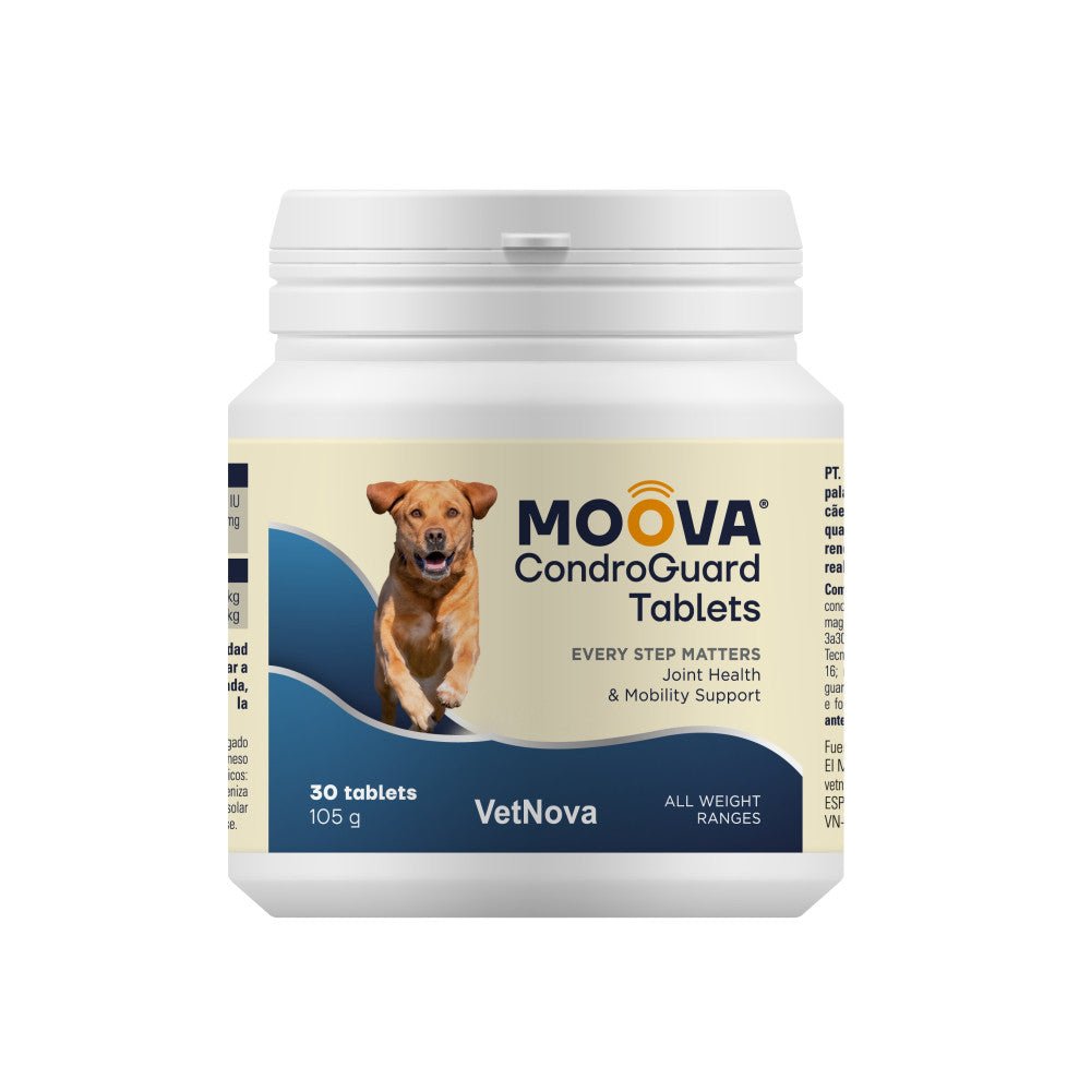 Product image for 16919