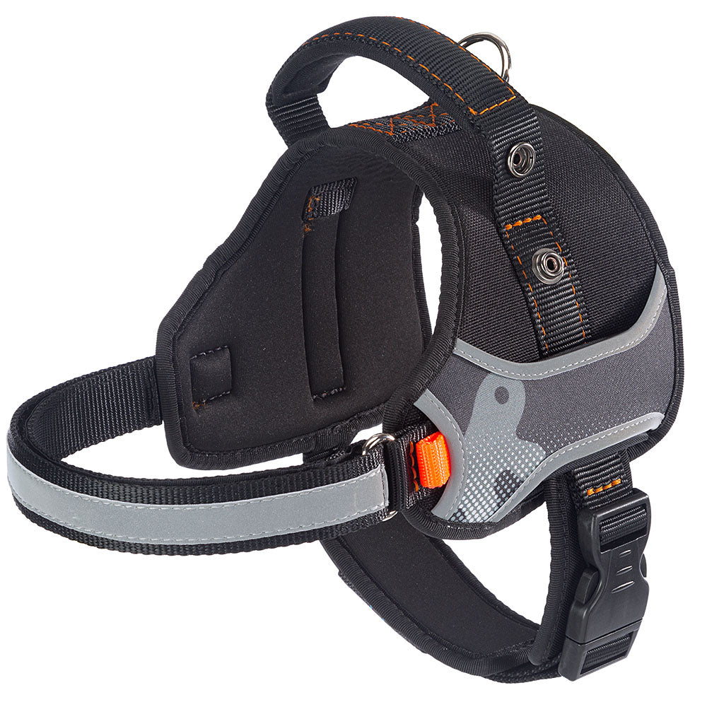 Product image for 15333
