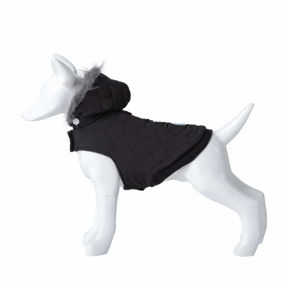Product image for 15979