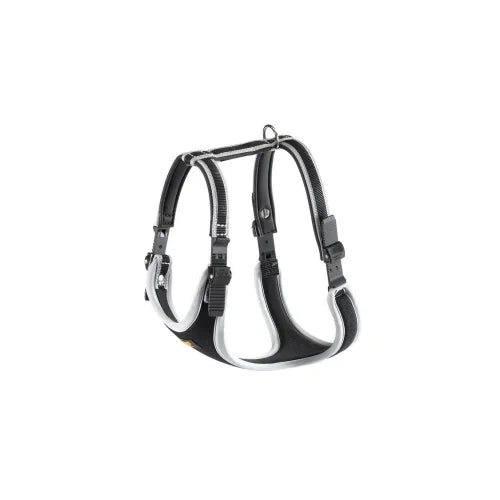 Product image for 15713