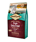 Product image for 11168