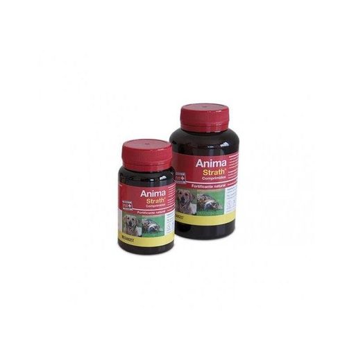 Product image for 10179