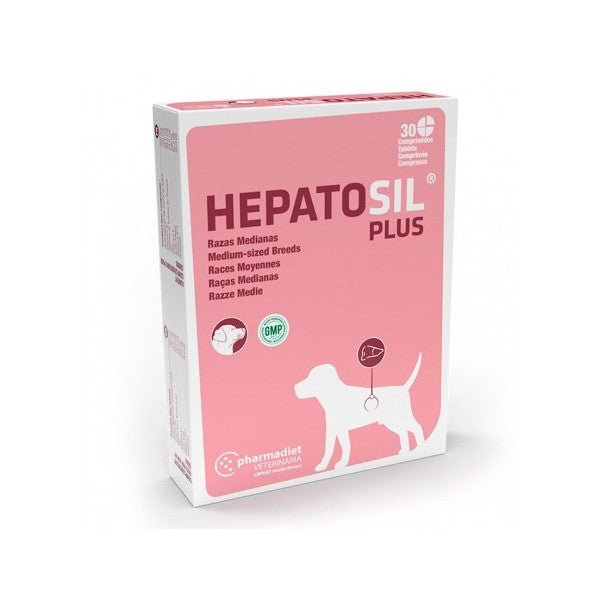 Product image for 8243