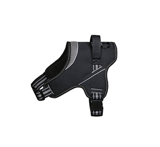 Product image for 11988