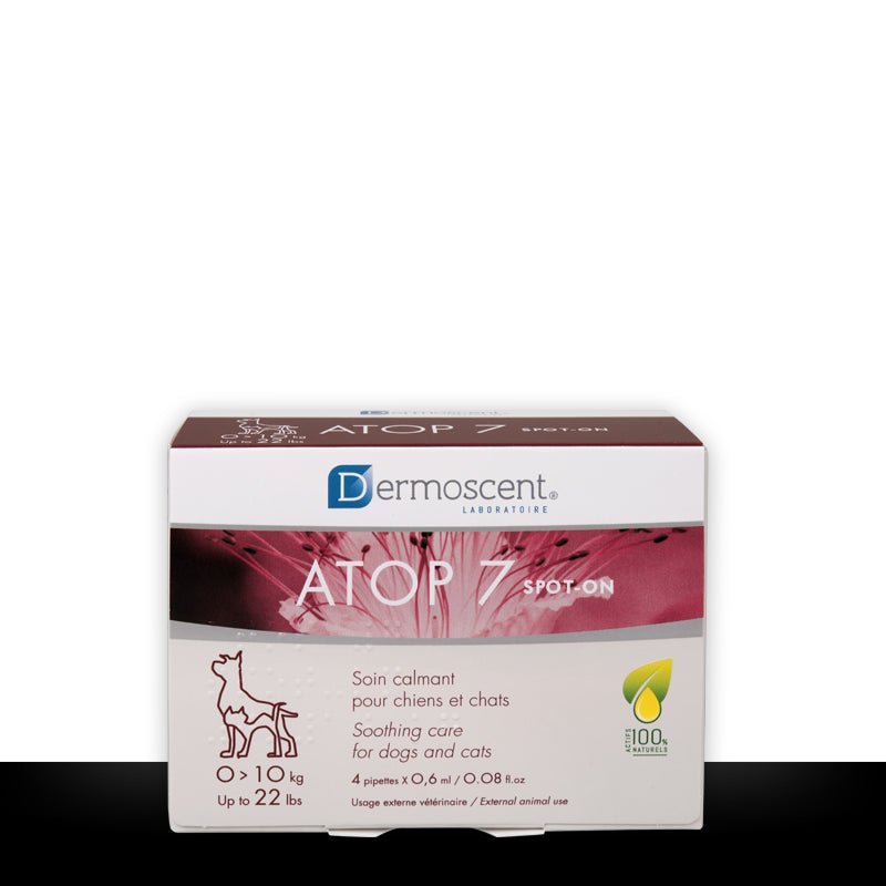 Product image for 10889